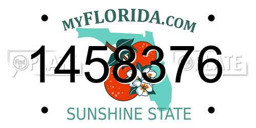 1458376 Florida License Plate