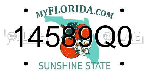 14589Q0 Florida License Plate