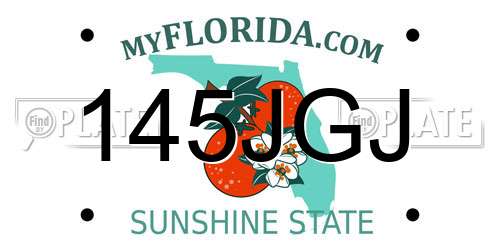 145JGJ Florida License Plate