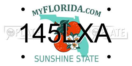 145LXA Florida License Plate