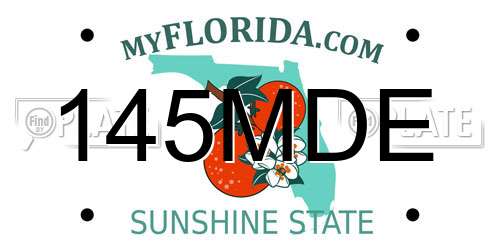 145MDE Florida License Plate