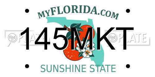 145MKT Florida License Plate