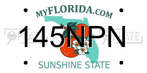 145NPN Florida License Plate