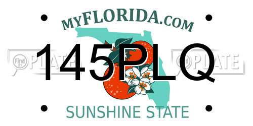 145PLQ Florida License Plate