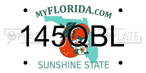 145QBL Florida License Plate