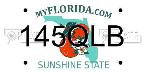 145QLB Florida License Plate