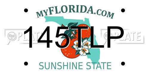 145TLP Florida License Plate
