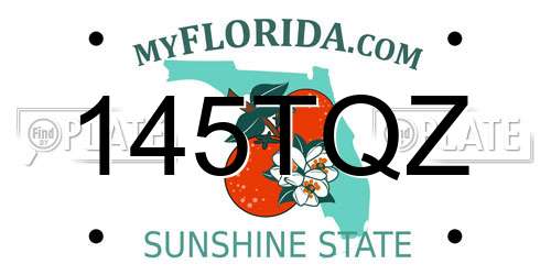 145TQZ Florida License Plate
