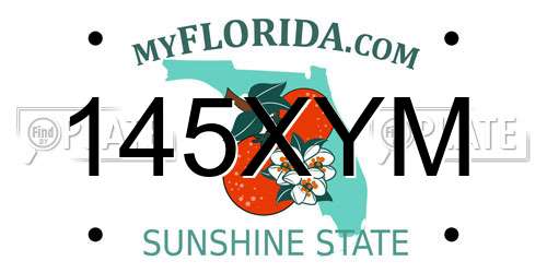 145XYM Florida License Plate