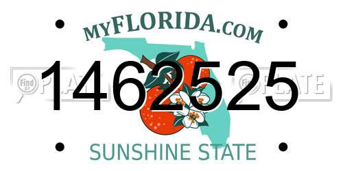 1462525 Florida License Plate