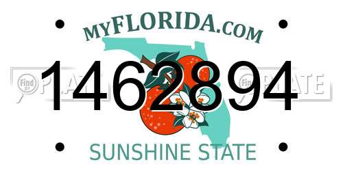 1462894 Florida License Plate