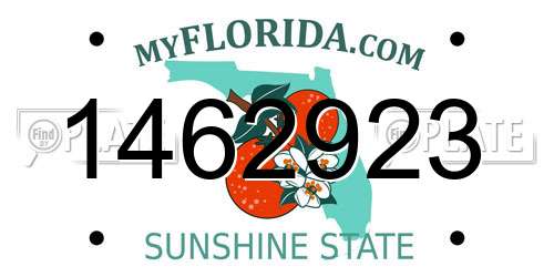 1462923 Florida License Plate