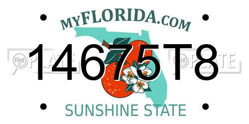 14675T8 Florida License Plate