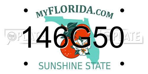 146G50 Florida License Plate