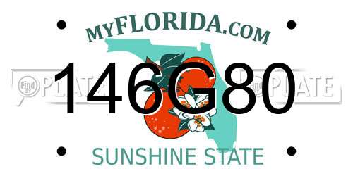 146G80 Florida License Plate