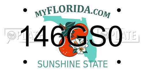 146GS0 Florida License Plate