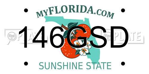 146GSD Florida License Plate