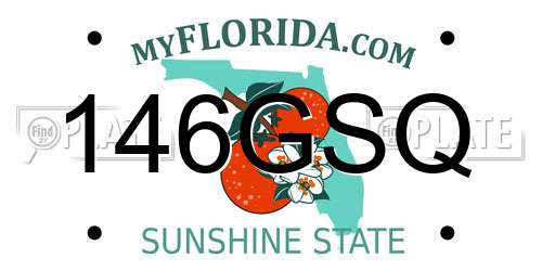 146GSQ Florida License Plate
