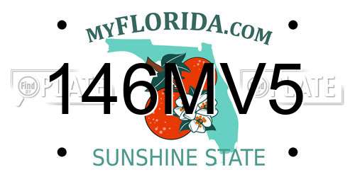 146MV5 Florida License Plate