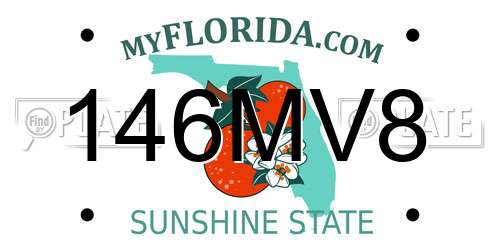 146MV8 Florida License Plate