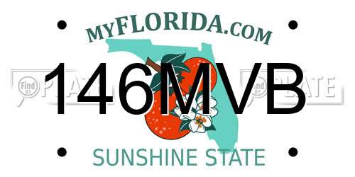 146MVB Florida License Plate
