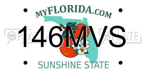 146MVS Florida License Plate
