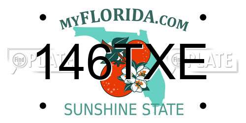 146TXE Florida License Plate