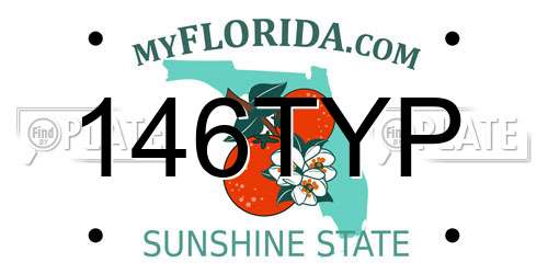 146TYP Florida License Plate