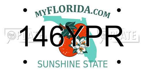 146YPR Florida License Plate
