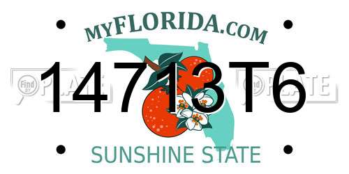 14713T6 Florida License Plate