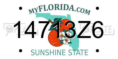14713Z6 Florida License Plate
