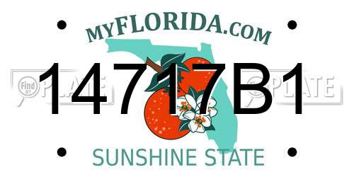 14717B1 Florida License Plate