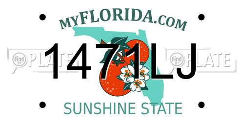 1471LJ Florida License Plate