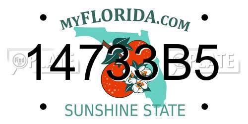 14733B5 Florida License Plate