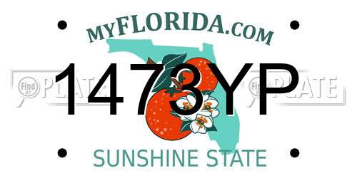 1473YP Florida License Plate