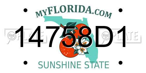 14758D1 Florida License Plate