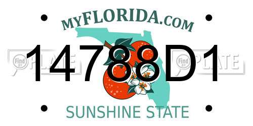 14788D1 Florida License Plate