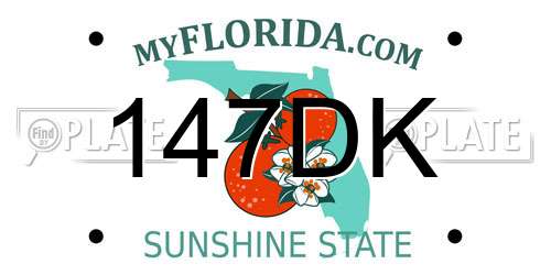 147DK Florida License Plate