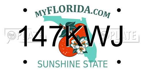 147KWJ Florida License Plate