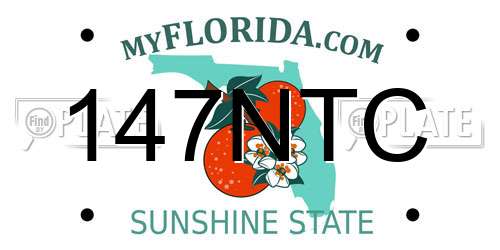 147NTC Florida License Plate