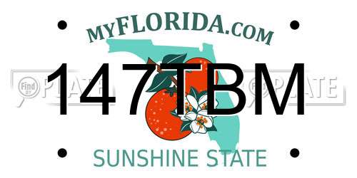 147TBM Florida License Plate