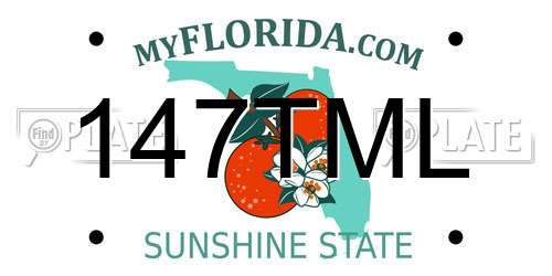 147TML Florida License Plate