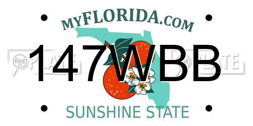 147WBB Florida License Plate