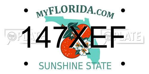 147XEF Florida License Plate