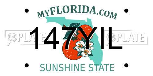 147YIL Florida License Plate