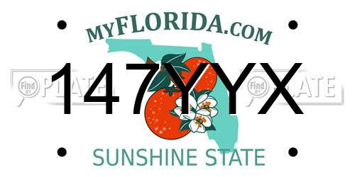 147YYX Florida License Plate