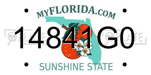 14841G0 Florida License Plate