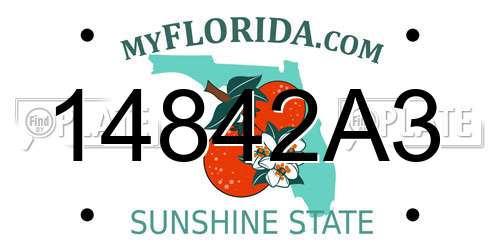 14842A3 Florida License Plate