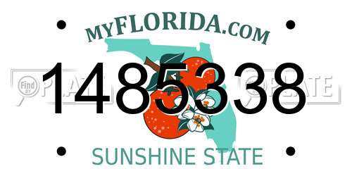 1485338 Florida License Plate