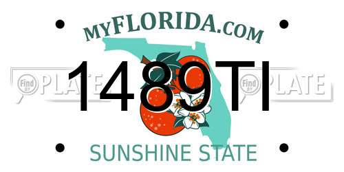 1489TI Florida License Plate